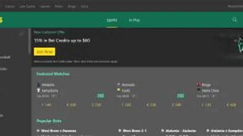 努爾基奇自信投篮出色，誓为每场赛事竭尽全力